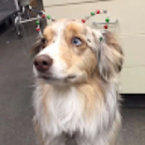 Meet your Posher, Clarissa